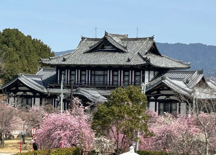Koriyama Castle Ruins, Japan